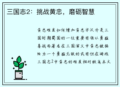 三国志2：挑战黄忠，磨砺智慧